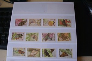 圣文森特邮票 1992年 蝴蝶 12枚全