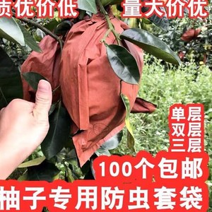 树上包水果袋葡萄柚蜜柚子专用防虫纸袋子双层透气防雨中号32*36
