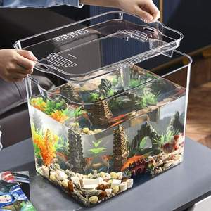 六角恐龙鱼的鱼缸专用蝾螈宠龟缸美西小乌养饲养箱饲物盒锦鲤用品