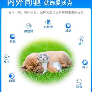 爱沃克进口体内外狗驱虫滴y剂小中大型犬猫蛔虫耳螨单支装