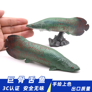 实心仿真巨骨舌鱼模型海象鱼玩具观赏鱼动物摆件