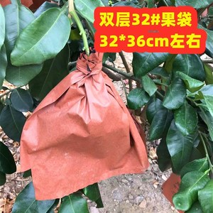 包邮柚子专用防虫鸟水果套袋双30三层32黄红肉三红蜜柚金柚马家柚