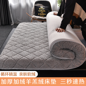子垫软垫家用租房专用塌塌米垫子可折G定海绵垫加厚褥床铺低可叠