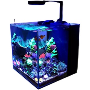 蓝甸海水缸桌面珊瑚o背滤缸中小型水族箱超白玻璃海缸全套设备方