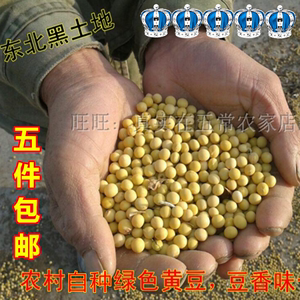 2023年新土黄豆东北农家黑龙江大豆东北特产磨豆浆生豆芽
