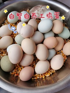 正宗农家散养新鲜30枚土鸡蛋笨鸡蛋草鸡蛋溜达鸡蛋孕妇鸡蛋跑山鸡