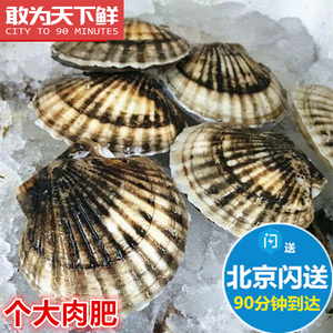 5只扇贝 2两每只 北京闪送 鲜活海鲜新鲜大连獐子岛大扇贝 水产