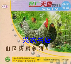 柴鸡养殖技术资料2视频U盘书籍草鸡散养土鸡饲养管理疾病防治教程