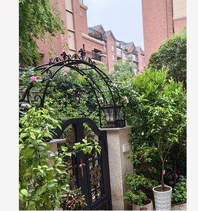 欧式铁艺拱门花架别墅花园大门墩子顶部拱形门头造型装饰花拱门