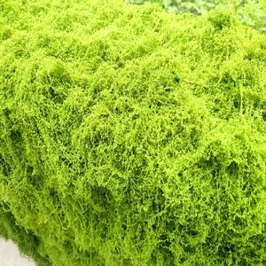 仿真苔藓青苔羊毛藓不掉色水陆缸雨淋缸植物墙假山石头园林造景