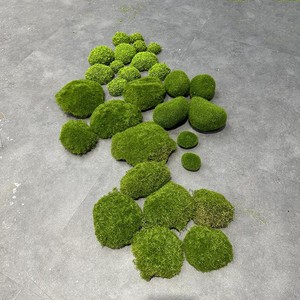 苔藓植物仿真苔藓块植毛石头大小搭配青苔石青苔草坪植绒摆件软装