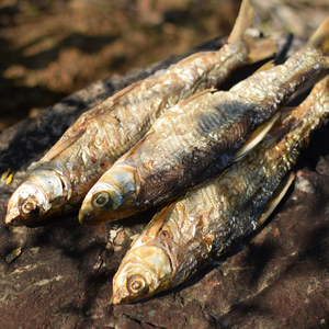 千岛湖野捕黄尾鱼当季新货现捕碳烤鱼干250g