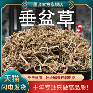 垂盆草中药材500克狗牙草瓜子草狗牙瓣草食非野生用泡茶新鲜干货