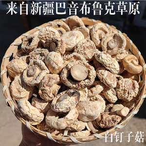 新疆野蘑菇巴音布鲁克特产干蘑菇口蘑白蘑菇钉子菇圆蘑菇煲汤汤饭