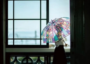 现货日本YOU+MORE 复古彩绘透明紫色浪漫晴雨伞    小红书同款