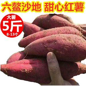 福建六鳌蜜薯番薯沙地红薯漳州红心地瓜新鲜当季农家香薯5斤包邮