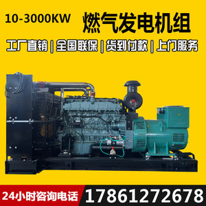 沼气30Kw-250kw 燃气发动机 发电机