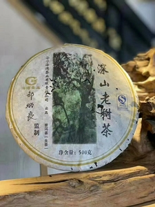 中期普洱茶2006年老同志深山老树茶500克生茶包邮