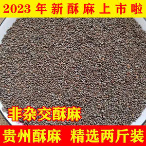 2023年贵州特产酥麻籽2斤 包子汤圆年糕配料农家种植苏麻油性引子