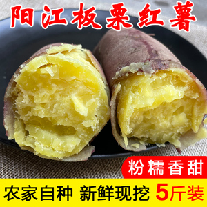 阳江栗子番薯红薯农家自种板栗番薯红皮黄心地瓜山芋粉糯香甜5斤