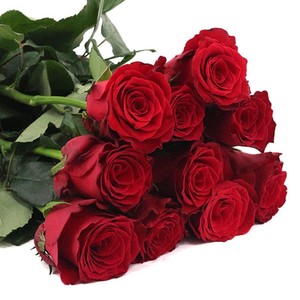 超级新鲜玫瑰10朵顺丰同城包邮花期长混搭花束礼品家居花北京发货