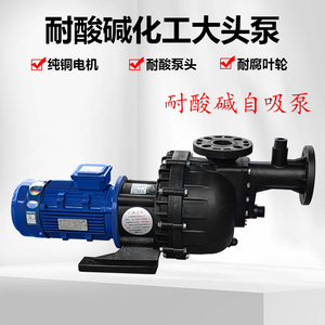 胜川宝PP塑料大头泵排污提升泵耐酸碱马肚泵化工泵过滤机自吸泵