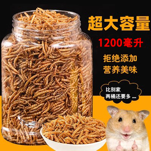 仓鼠零食罐装面包虫干干蜜袋鼯用品粮食增肥黄粉虫干高蛋白大麦虫