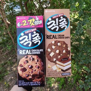 乐天提拉米苏味巧克力曲奇饼干90g韩国进口零食