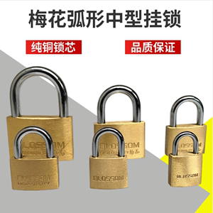 梅花铜锁弧形中型小挂锁梅花锁柜子锁家具锁箱包锁202530354555型