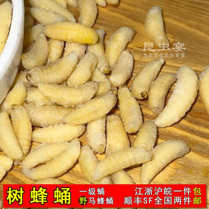 野生葫芦蜂1级新鲜树蜂蛹马蜂冷冻幼蜂云南特产昆虫子美食2件包邮