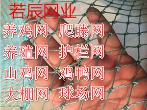 养野鸡网 小鸡网围栏护栏网/养殖网/防护网/渔网/抗老化网子围网