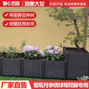特价阳台种菜盆 特大蔬菜种植箱 长条花槽长形屋顶菜园塑料深花盆