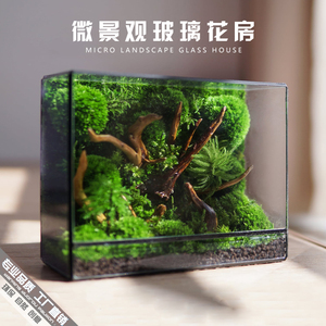 微景观几何玻璃花房苔藓墙玻璃缸桌面生态瓶造景植物微缩森林景观