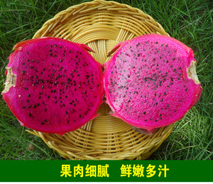 惠州本地红心火龙果 有机种植 超甜水分多 无农药促销5斤特价包邮