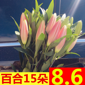 香水黄百合花鲜花云南昆明基地直发水养同城速递家用玫瑰花束泡泡