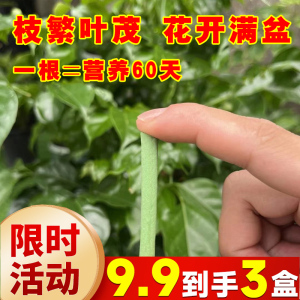 植物营养棒缓释肥料盆栽绿植通用型家用花卉促开花绿叶长效营养片