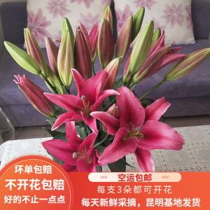 云南直发香水百合鲜花花束玫瑰多头黄天霸大双头速递同城家用水养