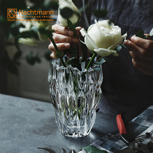 德国 NACHTMANN进口水晶玻璃小号单只花瓶家用办公室插花水培摆件