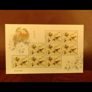 2016-21 相思鸟邮票小版张 特种邮票 小版张  邮局正品 保真