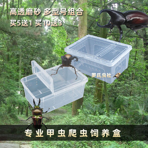 锹甲独角仙兜虫金龟透明饲养盒爬虫盒宠物昆虫活体透气甲虫饲养箱