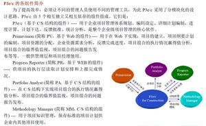 项目管理工具P3E/C Primavera P6V7/R8网络版安装指导 版本可选