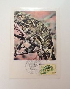 法国 1971 保护自然动物蜥蜴 极限片（3537）