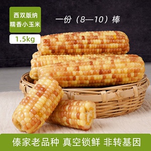 西双版纳小糯玉米新鲜真空包装花糯包谷3斤1.5kg特产低脂控糖正品