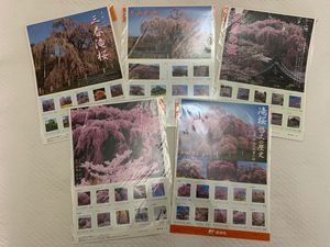 日本邮票--日本 樱花 系列 个性化邮票小版张 福島县三春滝桜5全