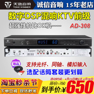 Winner/天逸 AD-208混响器专业家用k歌卡拉ok机前级效果器话筒KTV