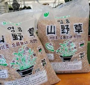 球球韩国多肉 韩国进口山野草配方专用土 多肉专业营养土