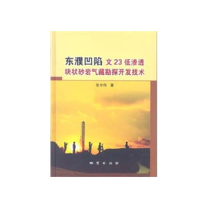 正版图书东濮凹陷文23低渗透块状砂岩气藏勘探开发技术张中伟地质