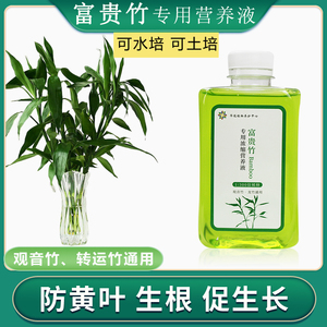 富贵竹营养液专用转运观音竹子水培水养的家用植物通用防黄叶肥料