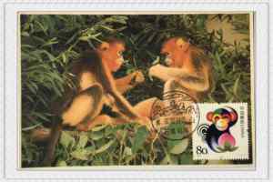 2004年1月5日甲申年猴票金丝猴极限片10盖黄山石猴观海首日风景戳