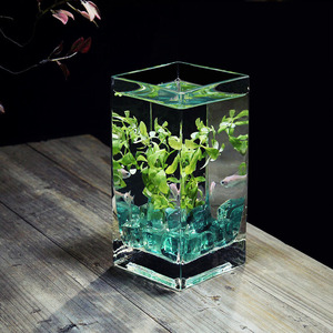 美人鱼方形高透亮斗鱼缸带盖子热带鱼缸水培花瓶花器桌面小鱼缸